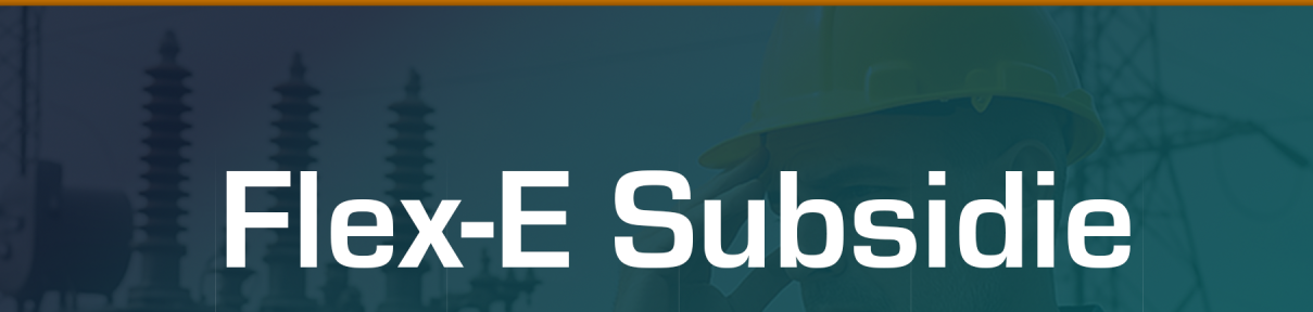 Flex E Subsidie
