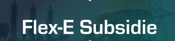 Flex E Subsidie_afbeelding aangepast